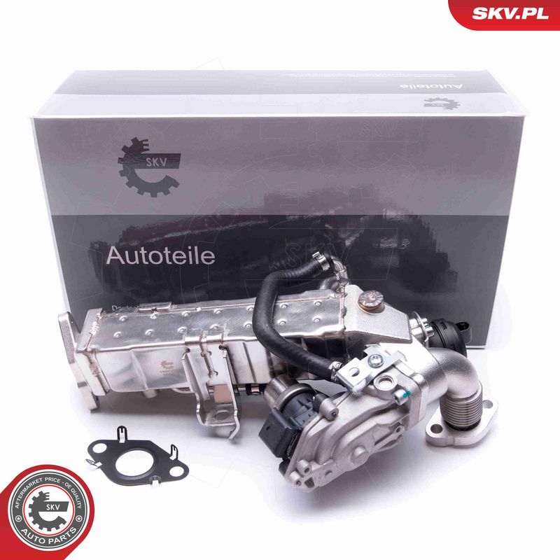 ESEN SKV 14SKV235 EGR Valve