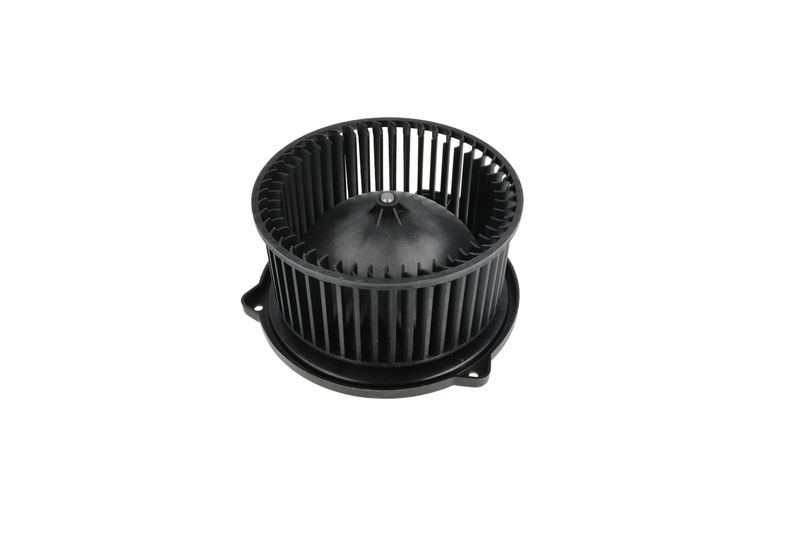 Salongipuhur, NRF 34331