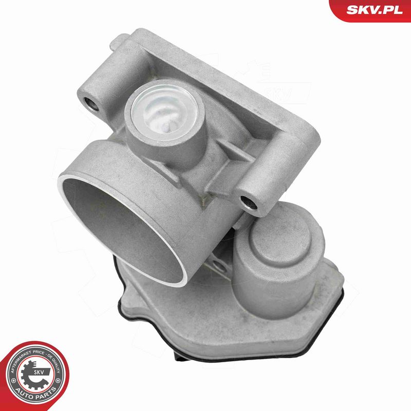ESEN SKV 12SKV165 Throttle Body