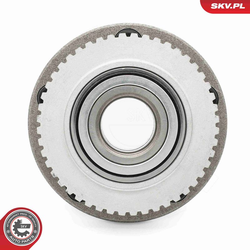 ESEN SKV 29SKV700 Wheel Bearing Kit