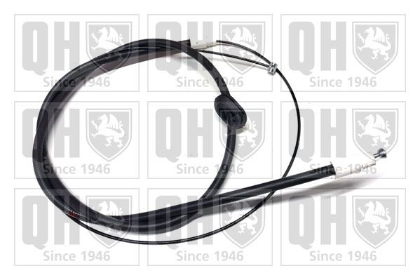 QH_BC4495.JPG