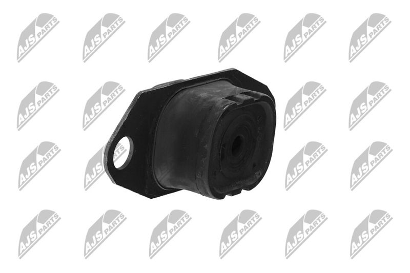 Paigutus, Mootor, NTY ZPS-NS-055
