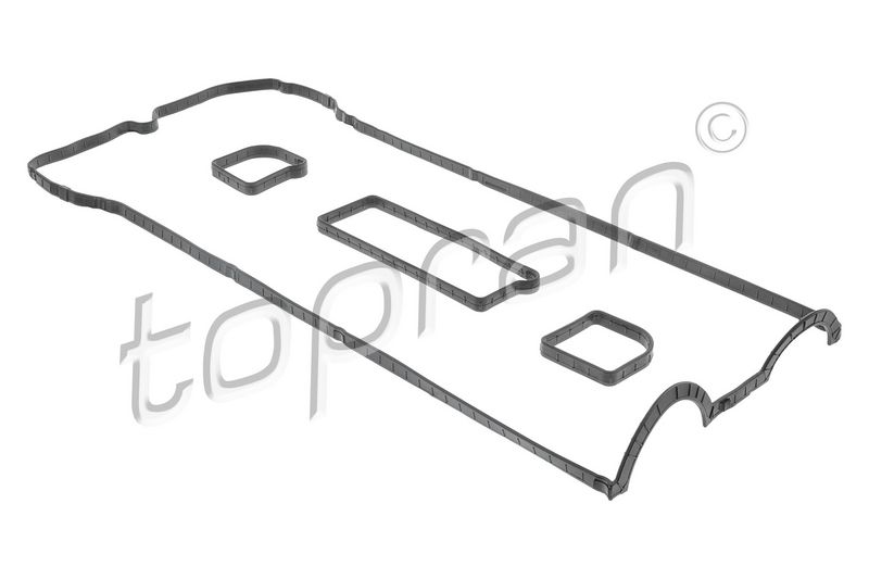 TOPRAN 305318 - Gasket Set, cylinder head cover