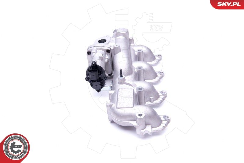 ESEN SKV 14SKV155 EGR Valve