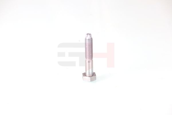GH GH-393708 Bolt, kingpin