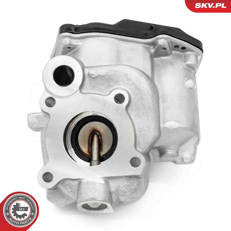 EGR-klapp, ESEN SKV 14SKV259
