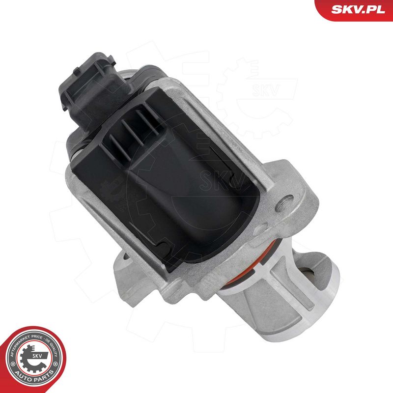EGR-klapp, ESEN SKV 14SKV318