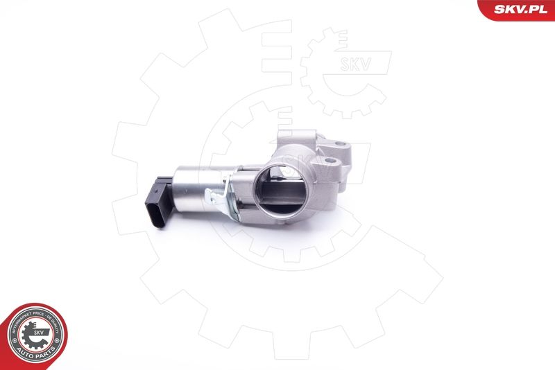 ESEN SKV 14SKV186 EGR Valve