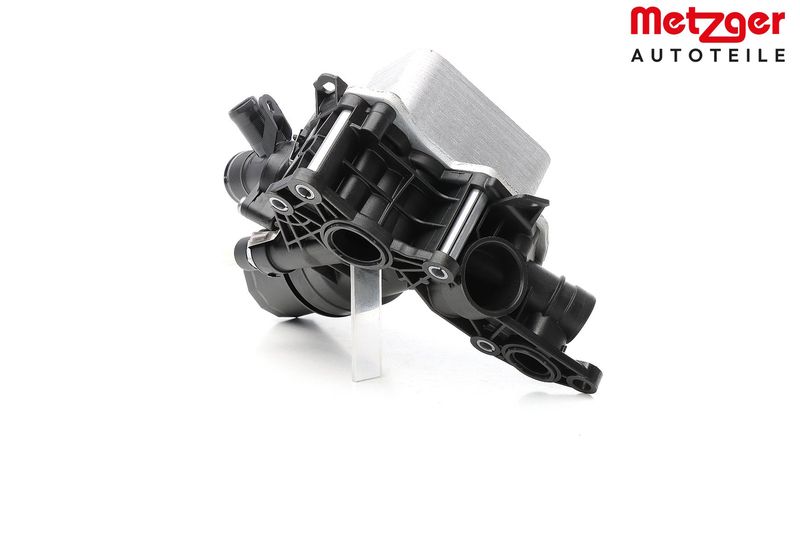 Prekė atitinka OEM kodą: 213058627R