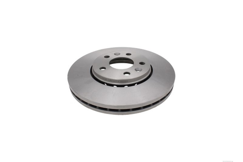 AUTOMEGA 213174310 Brake Disc