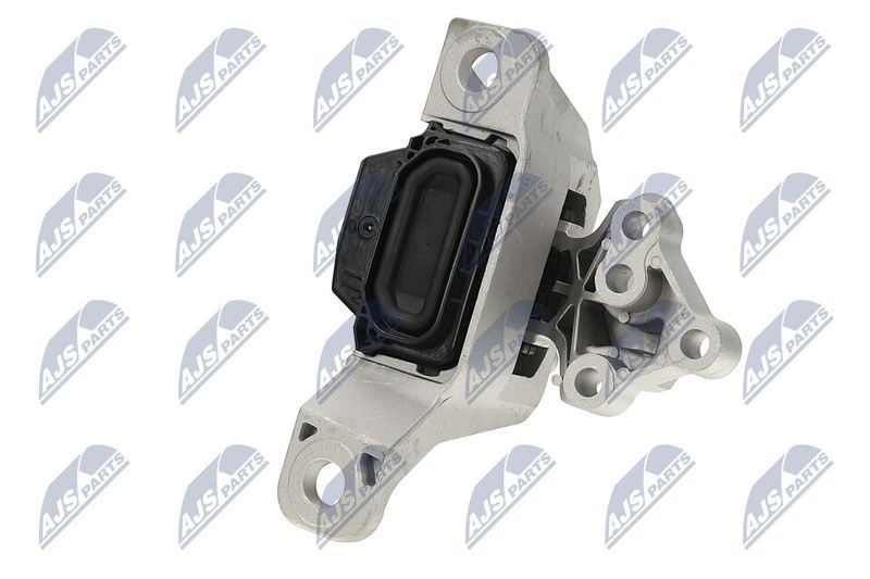 Paigutus, Mootor, NTY ZPS-FR-069