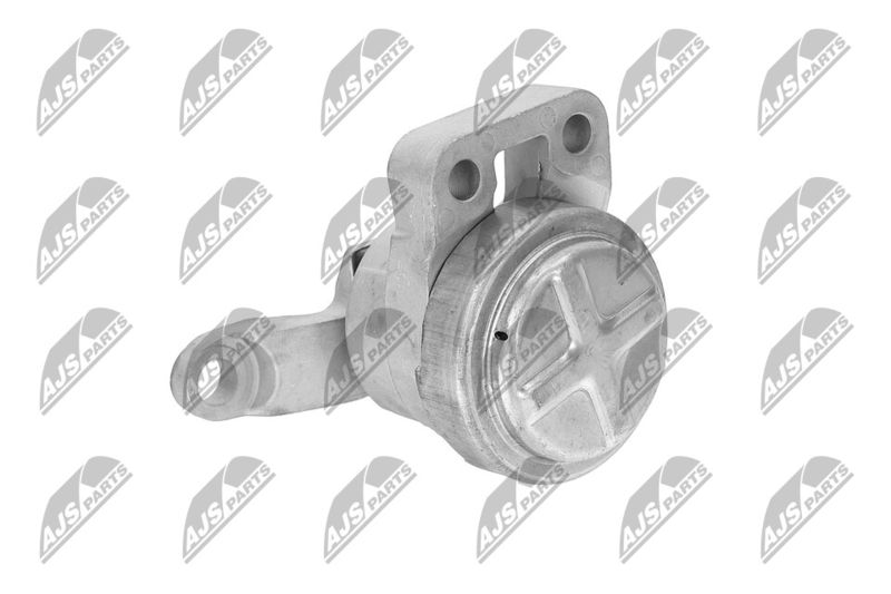 Paigutus, Mootor, NTY ZPS-FR-033