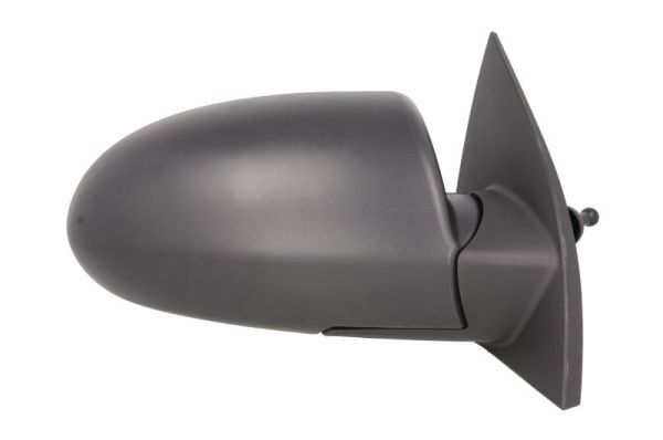 BLIC 5402-20-2001356P Exterior Mirror
