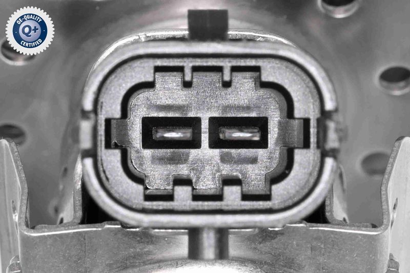 V30-68-0010_03.JPG