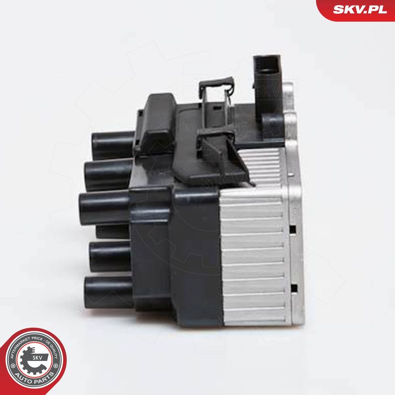 ESEN SKV 03SKV160 Ignition Coil