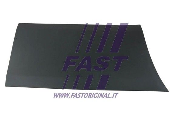 FT90918_1_1.JPG