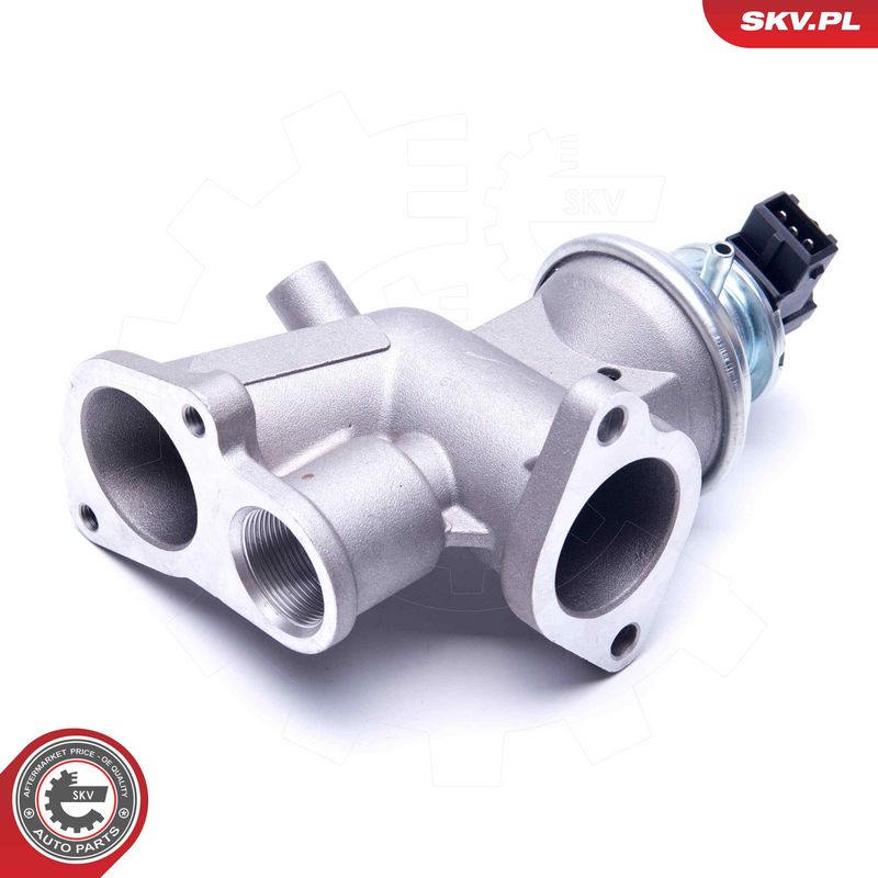 EGR-klapp, ESEN SKV 14SKV181