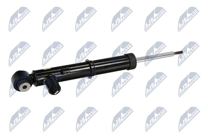 Amort, NTY A-LR-035