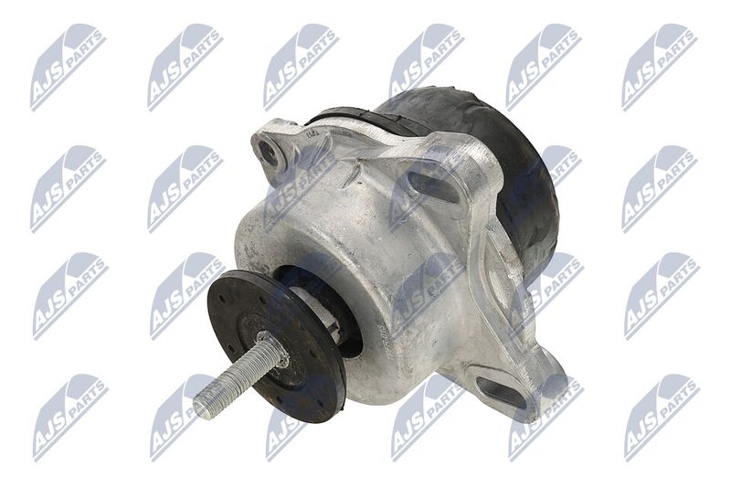 Paigutus, Mootor, NTY ZPS-FR-013