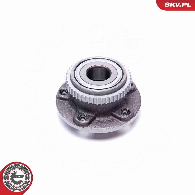 ESEN SKV 29SKV538 Wheel Bearing Kit