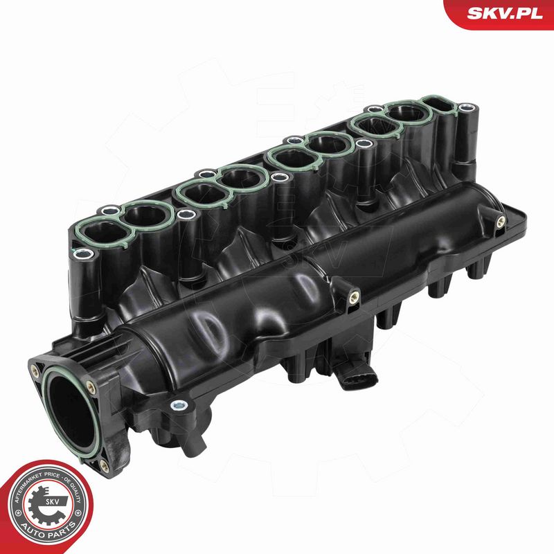 ESEN SKV 49SKV101 Intake Manifold Module