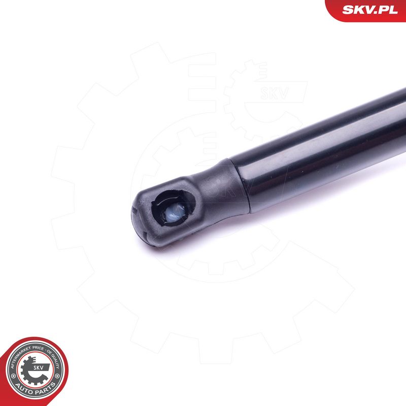 Gaasivedru, pagasi-, veoruum, ESEN SKV 52SKV425