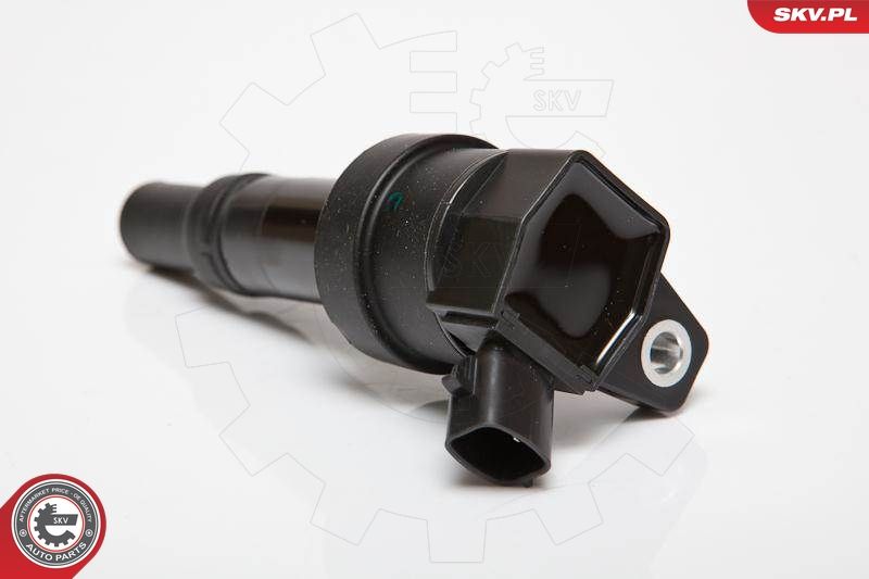 ESEN SKV 03SKV201 Ignition Coil