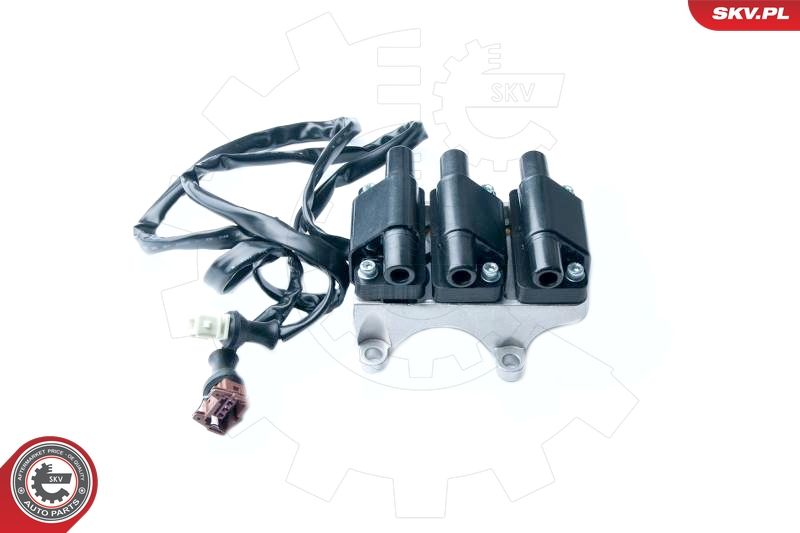 ESEN SKV 03SKV217 Ignition Coil