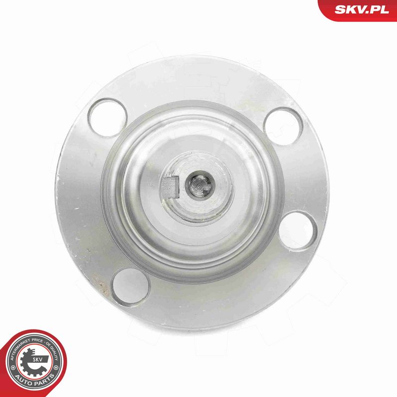 ESEN SKV 29SKV639 Stub Axle, axle beam