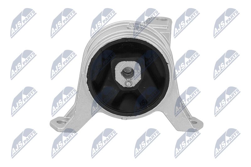 Paigutus, Mootor, NTY ZPS-PL-001