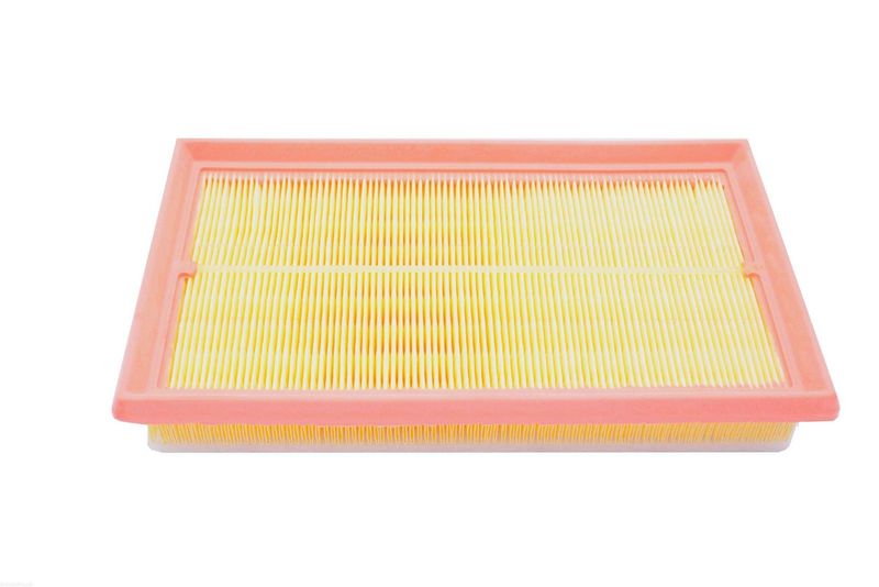 AUTOMEGA 250053710 Air Filter