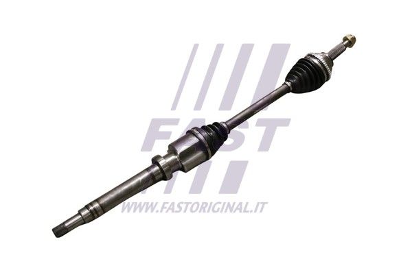 FT27192_1_1.JPG