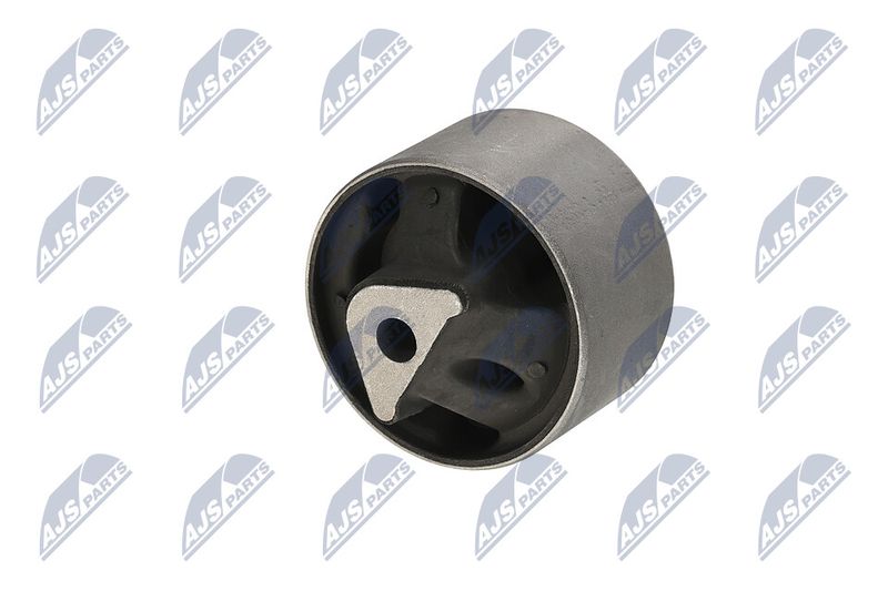 Paigutus, Mootor, NTY ZPS-CH-040