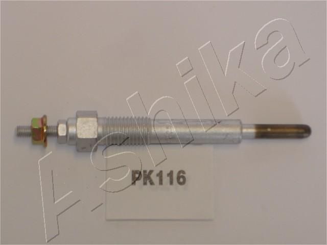PK116_1.JPG