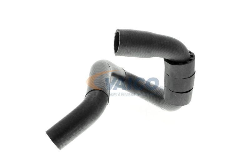 VAICO V10-4664 Talosa Radiator Hose