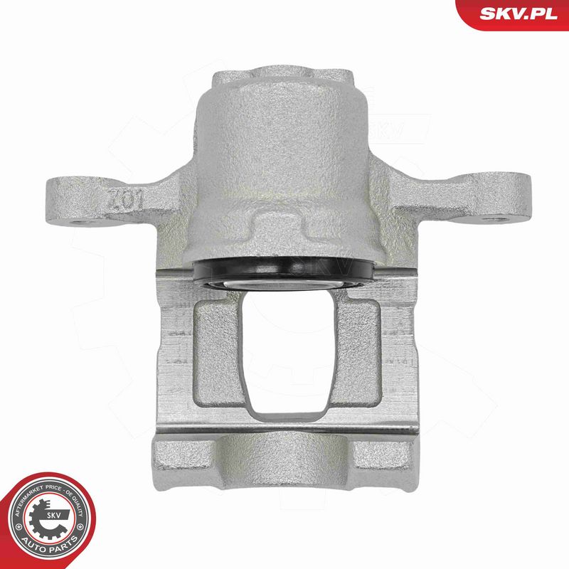 ESEN SKV 79SKV973 Brake Caliper