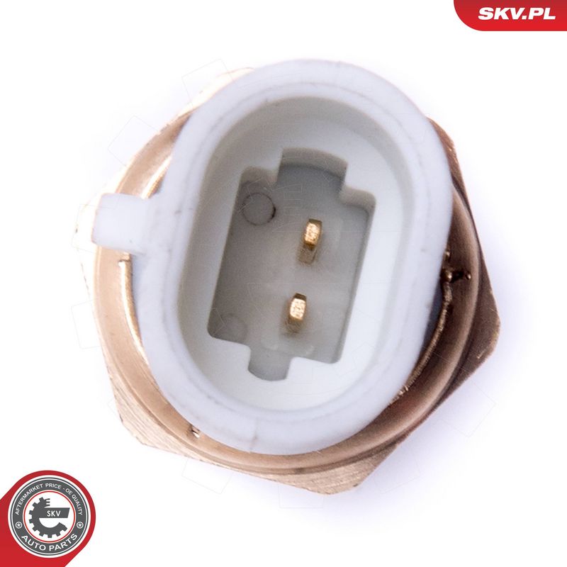 Andur, sisendõhu temperatuur, ESEN SKV 17SKV678