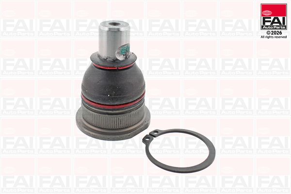FAI AutoParts Šarnyras / girgždukas