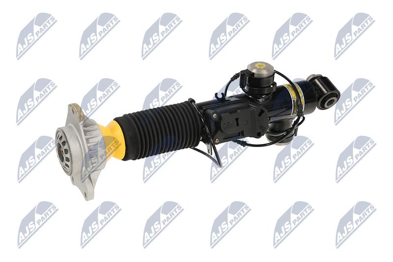 Amort, NTY A-BM-085