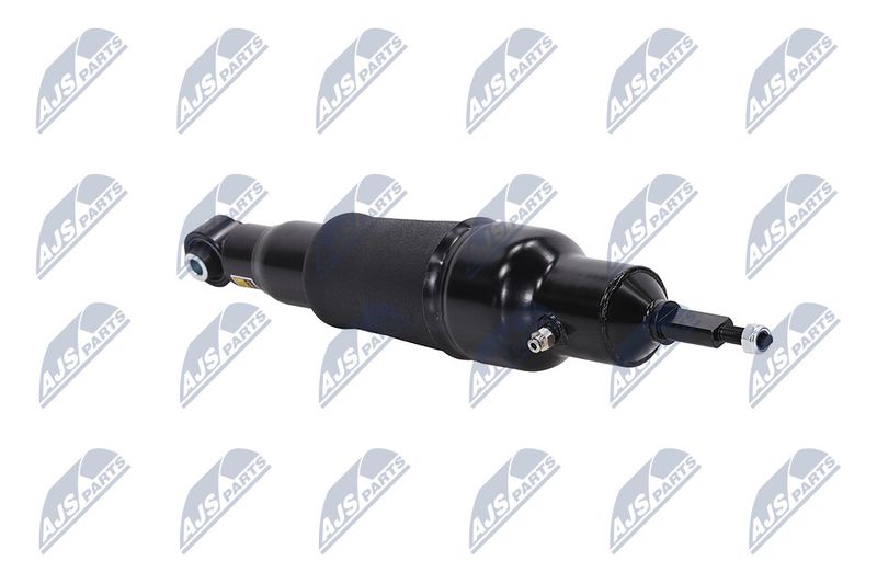 Amort, NTY A-NS-051