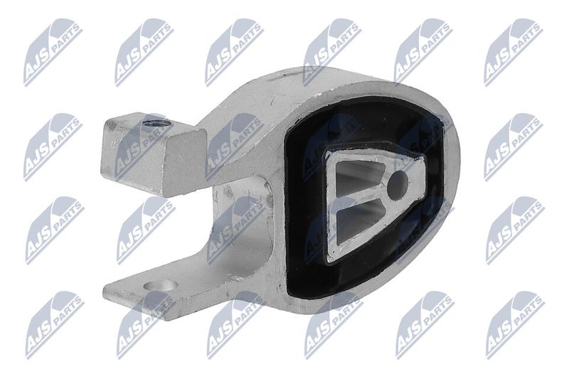 Paigutus, Mootor, NTY ZPS-FR-038