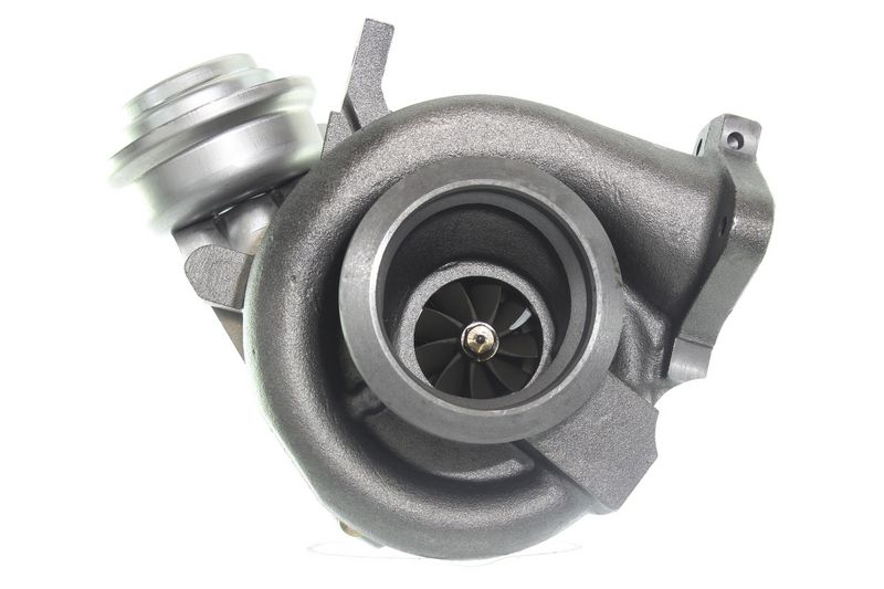 ALANKO 10900009 Charger, charging (supercharged/turbocharged)