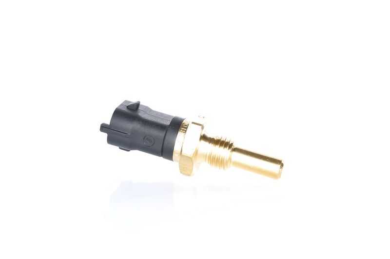 BOSCH 0281006273 Kuro temperatūros jutiklis