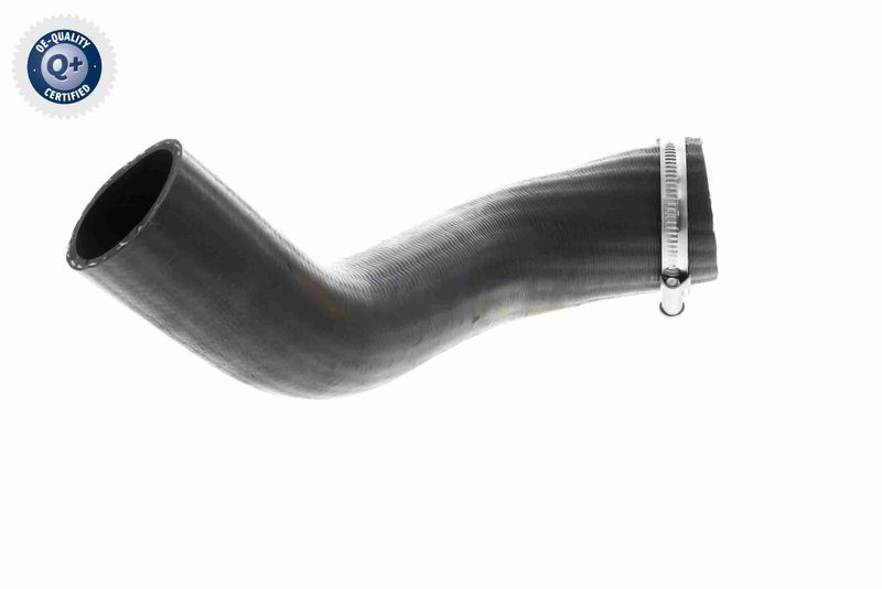 VAICO V25-1161 Charge Air Hose