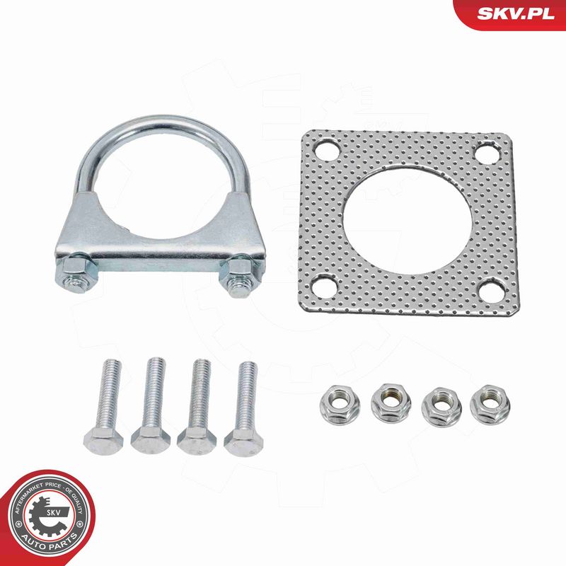 ESEN SKV 62SKV161 Catalytic Converter