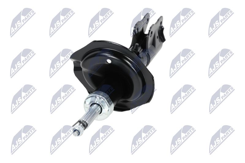 Amort, NTY A-MS-016