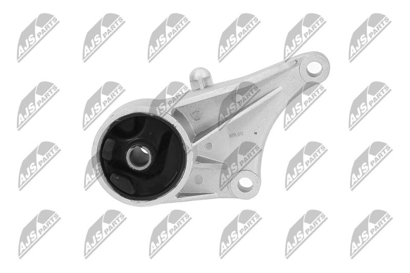 Paigutus, Mootor, NTY ZPS-PL-012