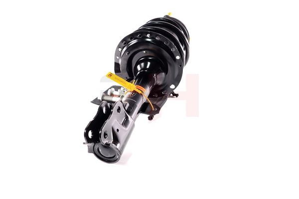 Vedruamort, GH GH-353057C01