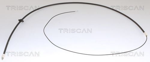 8140231186.JPG