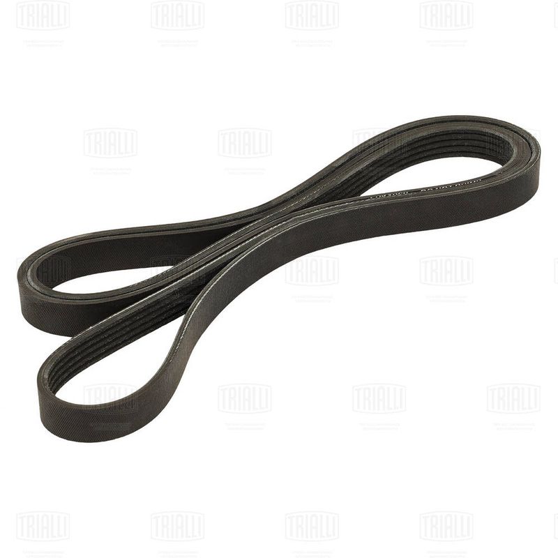 TRIALLI 5PK1960 V-ribbed Belt